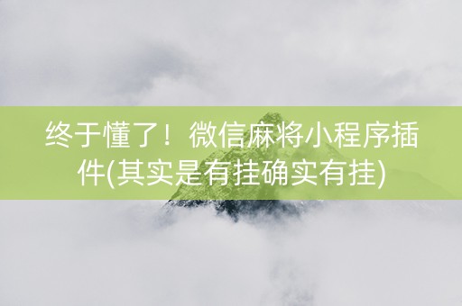 终于懂了！微信麻将小程序插件(其实是有挂确实有挂)