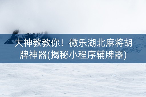 大神教教你！微乐湖北麻将胡牌神器(揭秘小程序辅牌器)