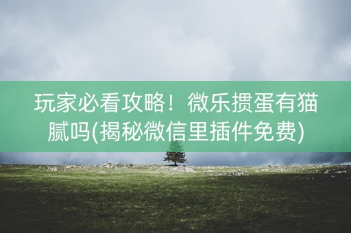 玩家必看攻略！微乐掼蛋有猫腻吗(揭秘微信里插件免费)