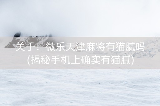 关于！微乐天津麻将有猫腻吗(揭秘手机上确实有猫腻)