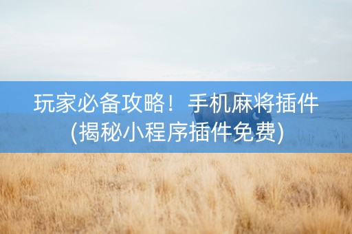 玩家必备攻略！手机麻将插件(揭秘小程序插件免费)