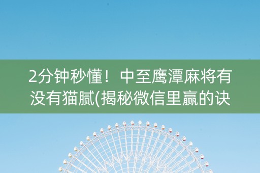 2分钟秒懂！中至鹰潭麻将有没有猫腻(揭秘微信里赢的诀窍)