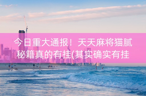 今日重大通报！天天麻将猫腻秘籍真的有挂(其实确实有挂)