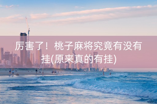 厉害了！桃子麻将究竟有没有挂(原来真的有挂)