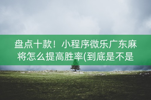 盘点十款！小程序微乐广东麻将怎么提高胜率(到底是不是有挂)