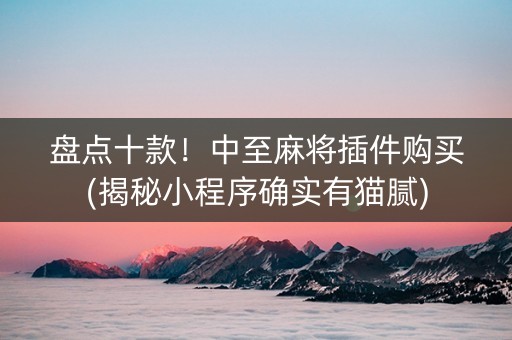 盘点十款！中至麻将插件购买(揭秘小程序确实有猫腻)