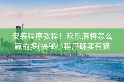 安装程序教程！欢乐麻将怎么赢的多(揭秘小程序确实有猫腻)