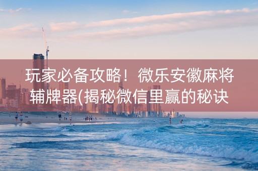 玩家必备攻略！微乐安徽麻将辅牌器(揭秘微信里赢的秘诀)