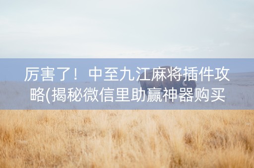 厉害了！中至九江麻将插件攻略(揭秘微信里助赢神器购买)
