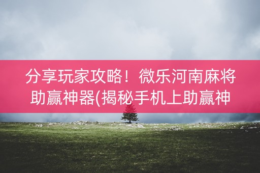 分享玩家攻略！微乐河南麻将助赢神器(揭秘手机上助赢神器)