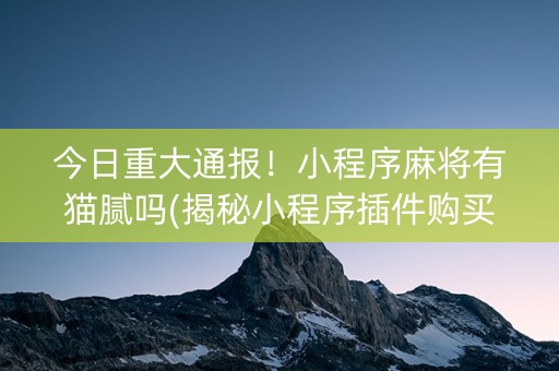 今日重大通报！小程序麻将有猫腻吗(揭秘小程序插件购买)