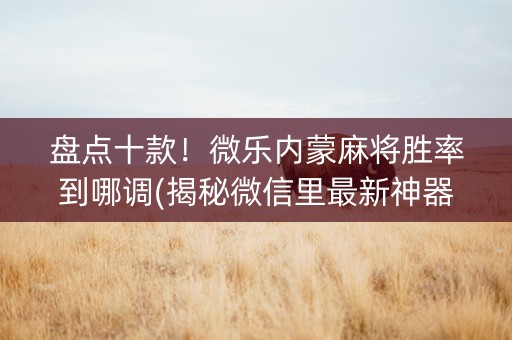 盘点十款！微乐内蒙麻将胜率到哪调(揭秘微信里最新神器下载)