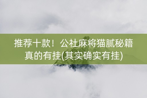 推荐十款！公社麻将猫腻秘籍真的有挂(其实确实有挂)