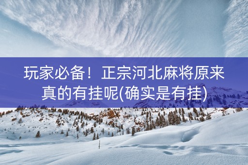 玩家必备！正宗河北麻将原来真的有挂呢(确实是有挂)