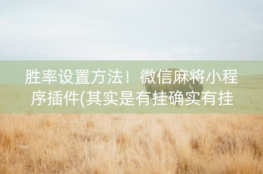 胜率设置方法！微信麻将小程序插件(其实是有挂确实有挂)