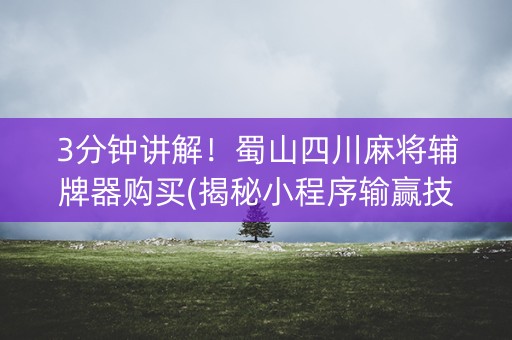 3分钟讲解！蜀山四川麻将辅牌器购买(揭秘小程序输赢技巧)