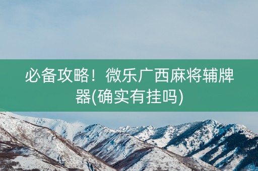 必备攻略！微乐广西麻将辅牌器(确实有挂吗)