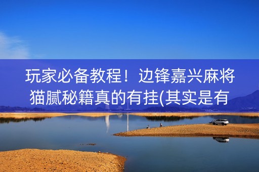 玩家必备教程！边锋嘉兴麻将猫腻秘籍真的有挂(其实是有挂确实有挂)