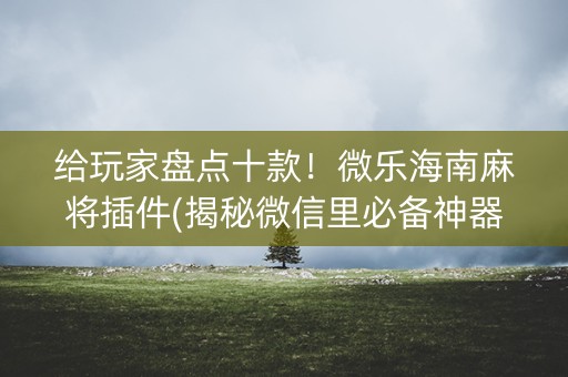 给玩家盘点十款！微乐海南麻将插件(揭秘微信里必备神器)