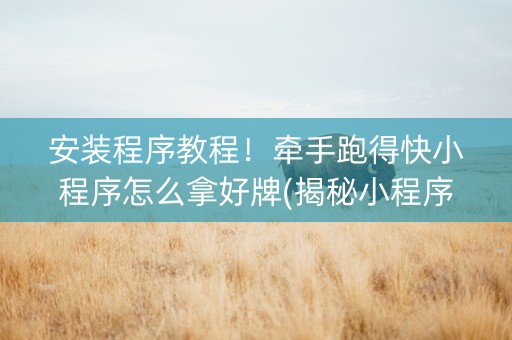 安装程序教程！牵手跑得快小程序怎么拿好牌(揭秘小程序输赢技巧)