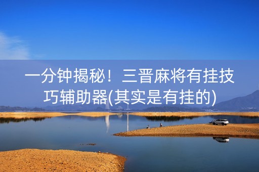一分钟揭秘！三晋麻将有挂技巧辅助器(其实是有挂的)