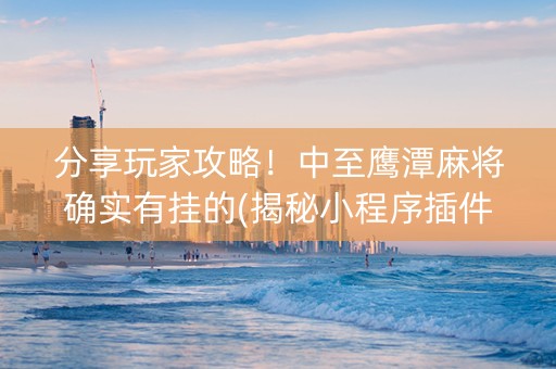 分享玩家攻略！中至鹰潭麻将确实有挂的(揭秘小程序插件免费)