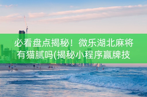 必看盘点揭秘！微乐湖北麻将有猫腻吗(揭秘小程序赢牌技巧)