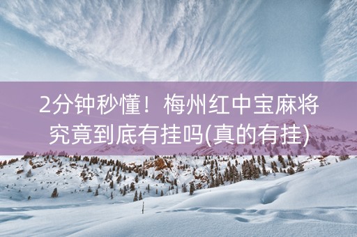 2分钟秒懂！梅州红中宝麻将究竟到底有挂吗(真的有挂)