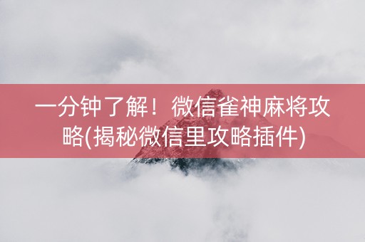 一分钟了解！微信雀神麻将攻略(揭秘微信里攻略插件)