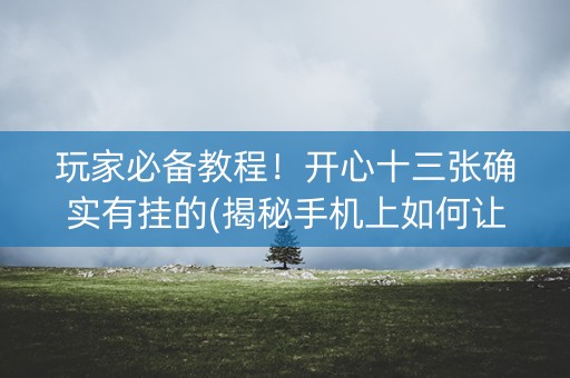 玩家必备教程！开心十三张确实有挂的(揭秘手机上如何让牌变好)