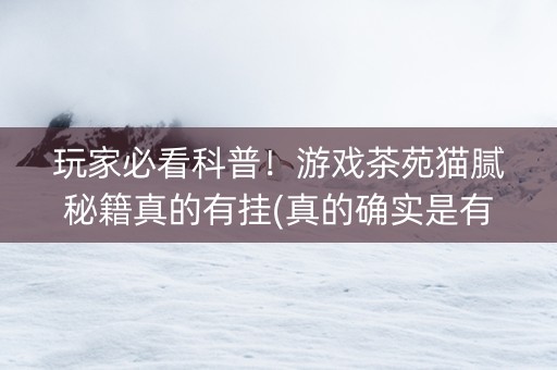 玩家必看科普！游戏茶苑猫腻秘籍真的有挂(真的确实是有挂)