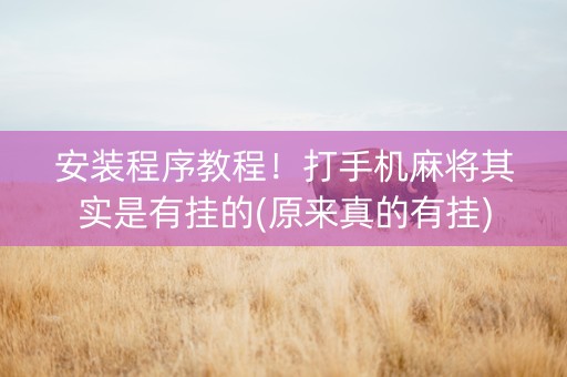 安装程序教程！打手机麻将其实是有挂的(原来真的有挂)