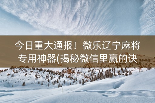 今日重大通报！微乐辽宁麻将专用神器(揭秘微信里赢的诀窍)