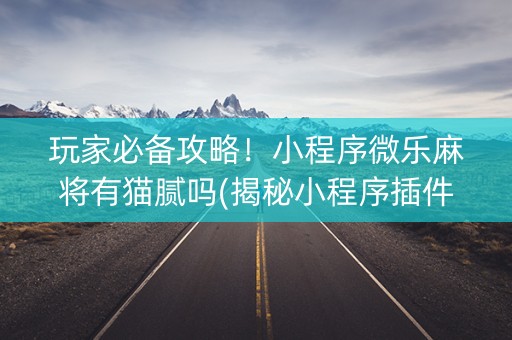 玩家必备攻略！小程序微乐麻将有猫腻吗(揭秘小程序插件免费)