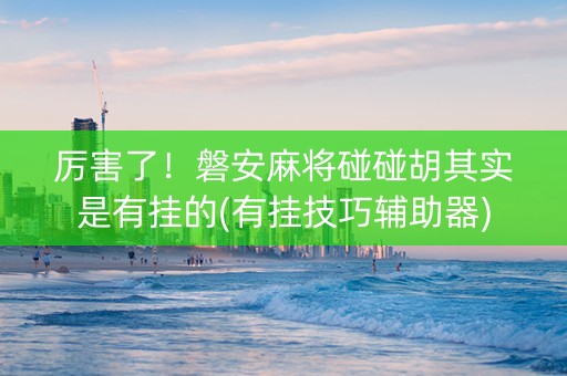 厉害了！磐安麻将碰碰胡其实是有挂的(有挂技巧辅助器)