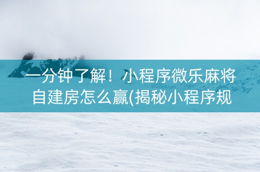 一分钟了解！小程序微乐麻将自建房怎么赢(揭秘小程序规律攻略)