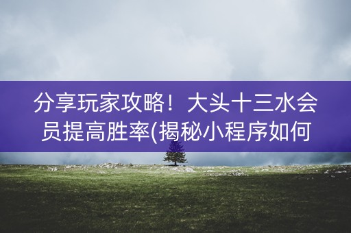 分享玩家攻略！大头十三水会员提高胜率(揭秘小程序如何让牌变好)