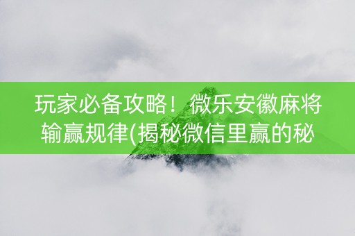 玩家必备攻略！微乐安徽麻将输赢规律(揭秘微信里赢的秘诀)