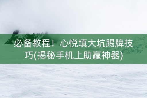 必备教程！心悦填大坑踢牌技巧(揭秘手机上助赢神器)