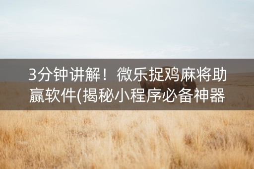 3分钟讲解！微乐捉鸡麻将助赢软件(揭秘小程序必备神器)