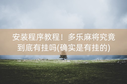 安装程序教程！多乐麻将究竟到底有挂吗(确实是有挂的)
