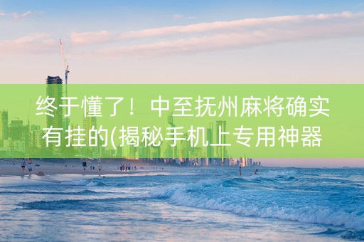 终于懂了！中至抚州麻将确实有挂的(揭秘手机上专用神器下载)