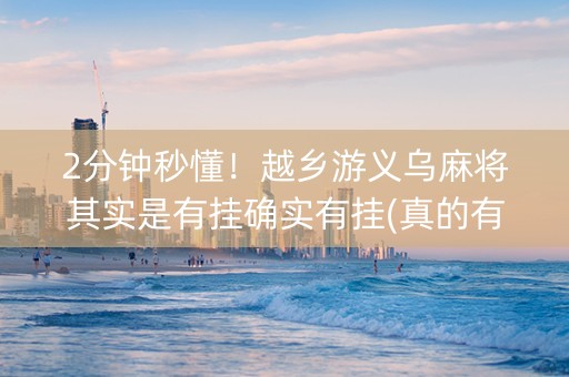 2分钟秒懂！越乡游义乌麻将其实是有挂确实有挂(真的有挂)