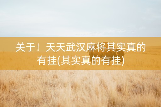 关于！天天武汉麻将其实真的有挂(其实真的有挂)
