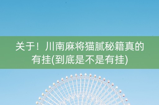 关于！川南麻将猫腻秘籍真的有挂(到底是不是有挂)
