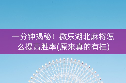 一分钟揭秘！微乐湖北麻将怎么提高胜率(原来真的有挂)
