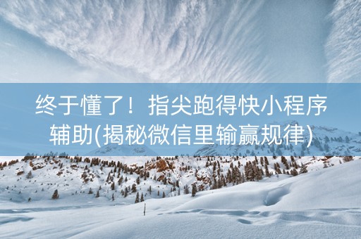 终于懂了！指尖跑得快小程序辅助(揭秘微信里输赢规律)