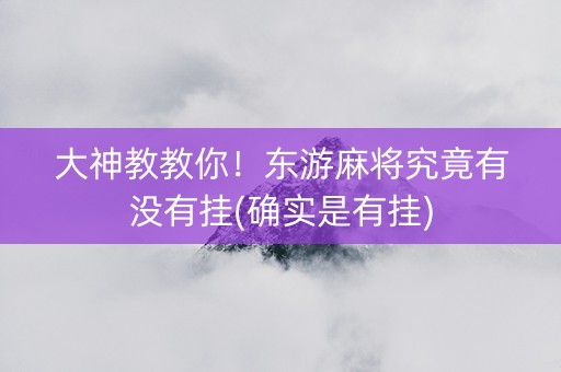 大神教教你！东游麻将究竟有没有挂(确实是有挂)