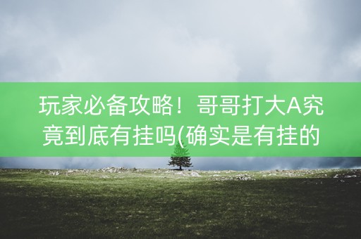 玩家必备攻略！哥哥打大A究竟到底有挂吗(确实是有挂的)
