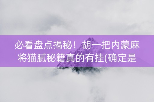 必看盘点揭秘！胡一把内蒙麻将猫腻秘籍真的有挂(确定是有挂)